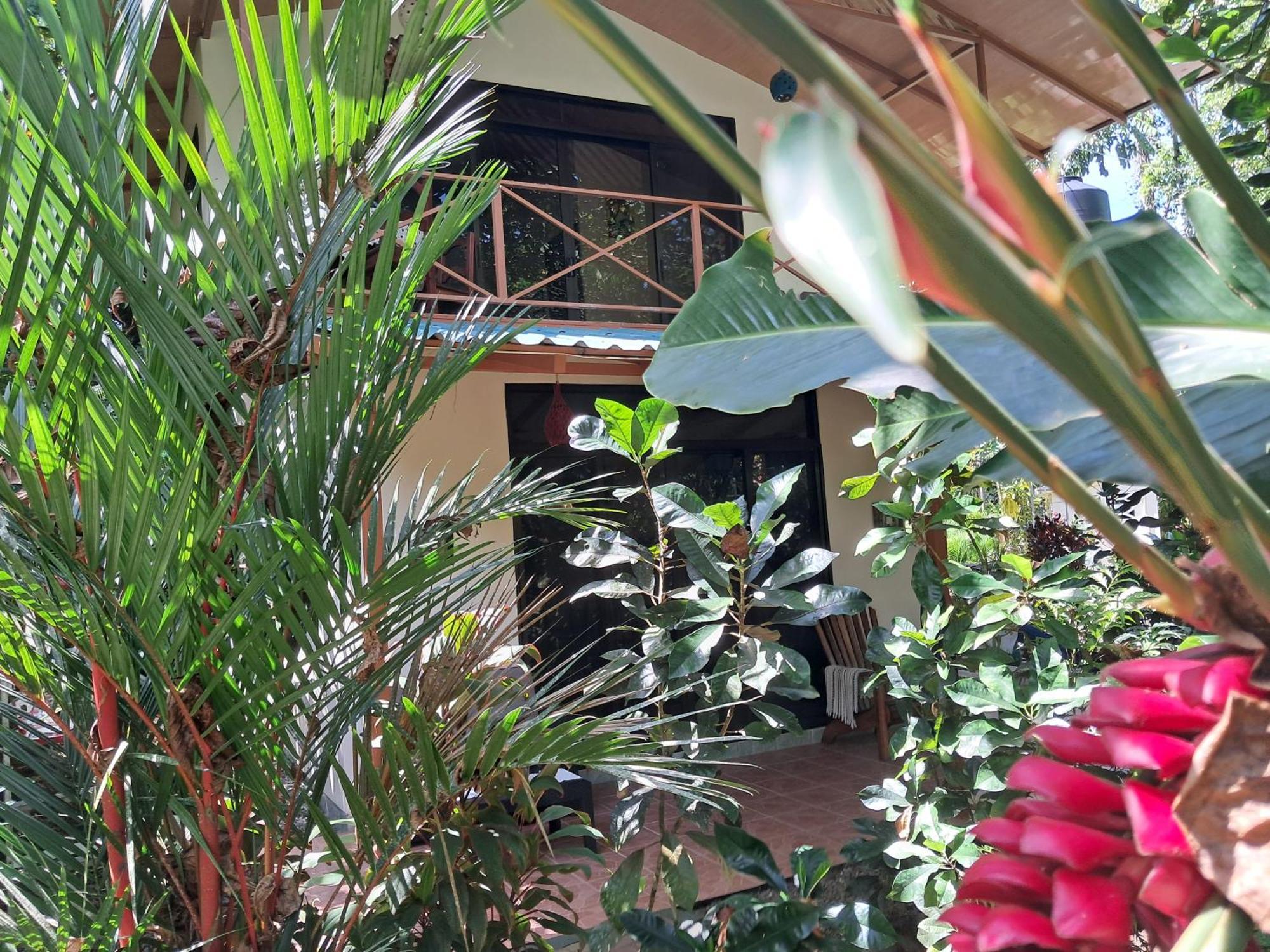 New Caribe Point Villa Cahuita Eksteriør billede