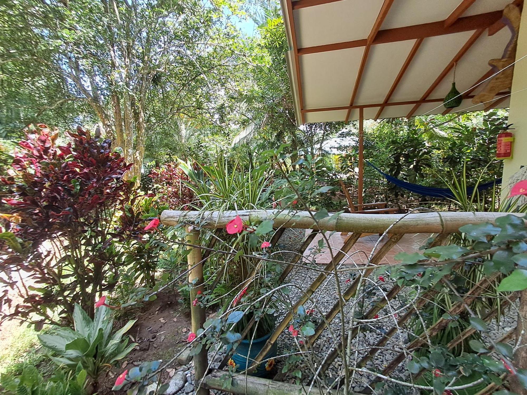 New Caribe Point Villa Cahuita Eksteriør billede