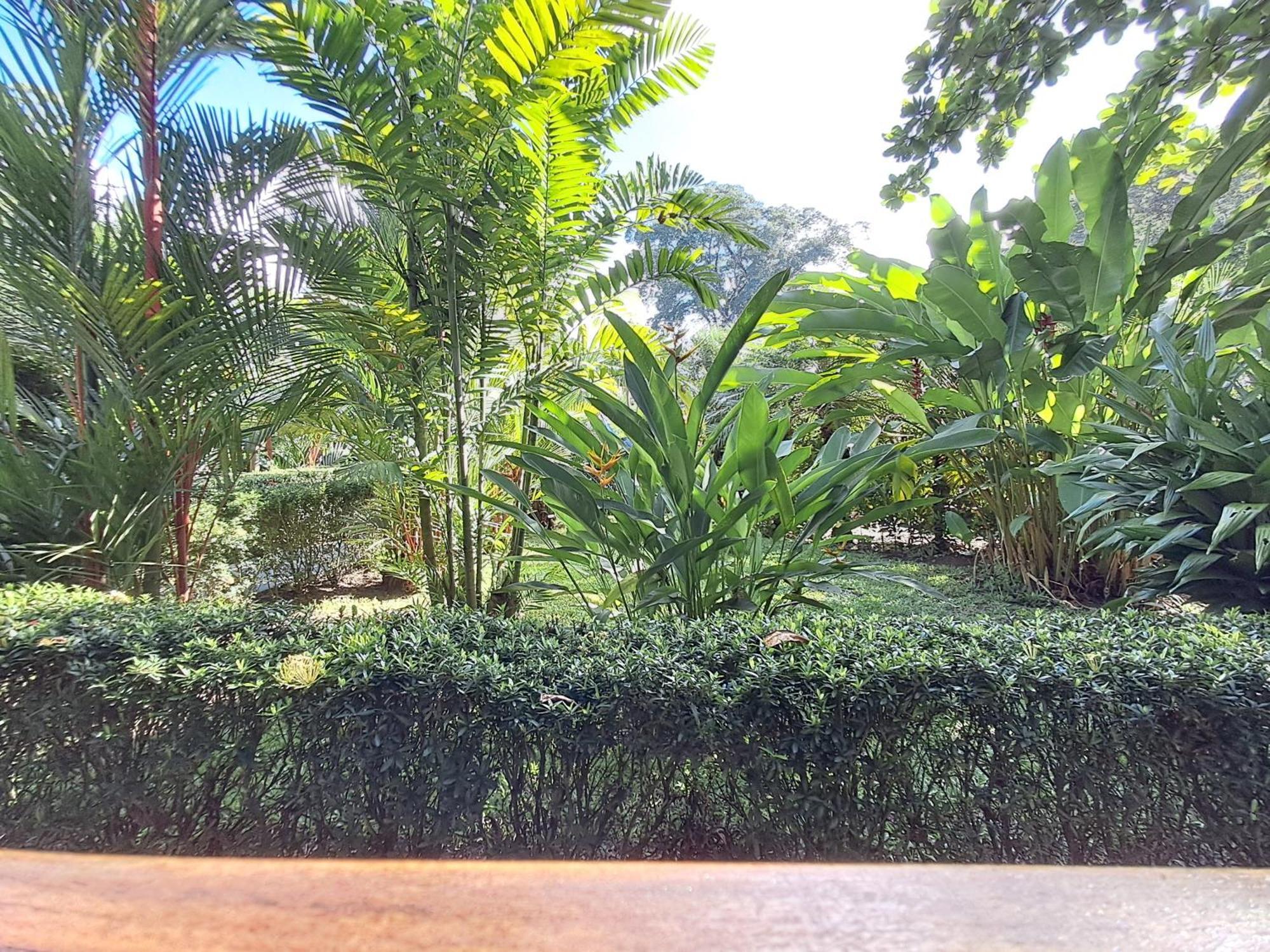 New Caribe Point Villa Cahuita Eksteriør billede